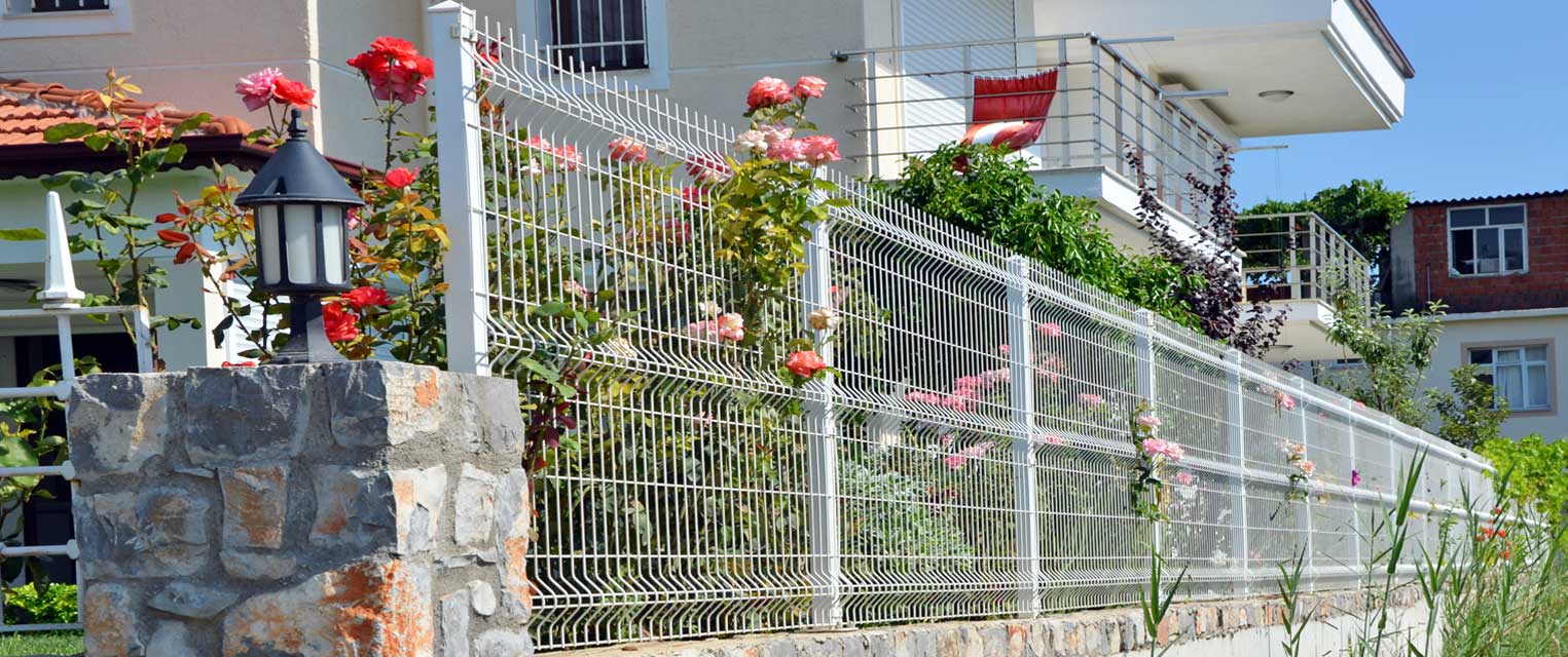 Blog Galerisi