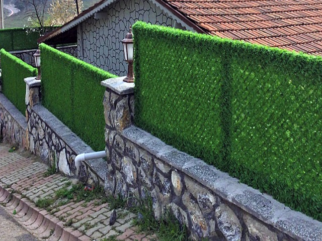 Hizmet Galerisi